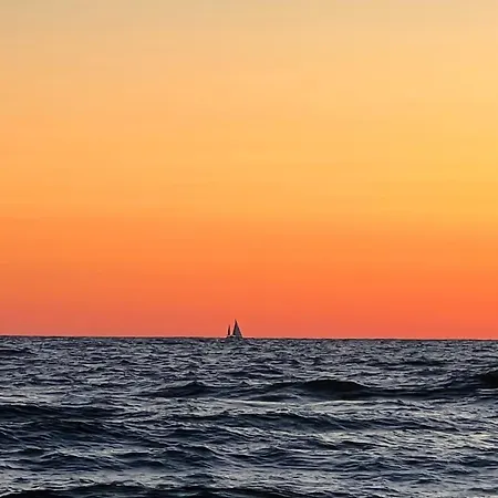 Vanagupes Vilos Palanga